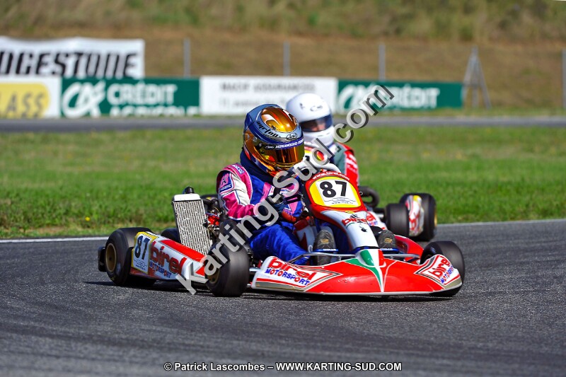 DSC_ (77).jpg
